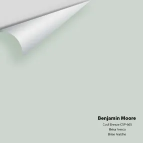 Benjamin Moore - Cool Breeze CSP-665 Colour Sample