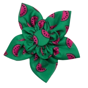 Collar Flower | Watermelon
