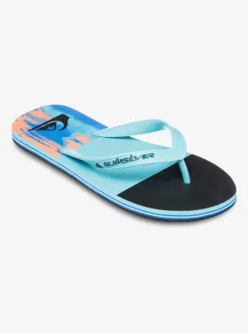 Mens Molokai Stripe 25 Flip Flops