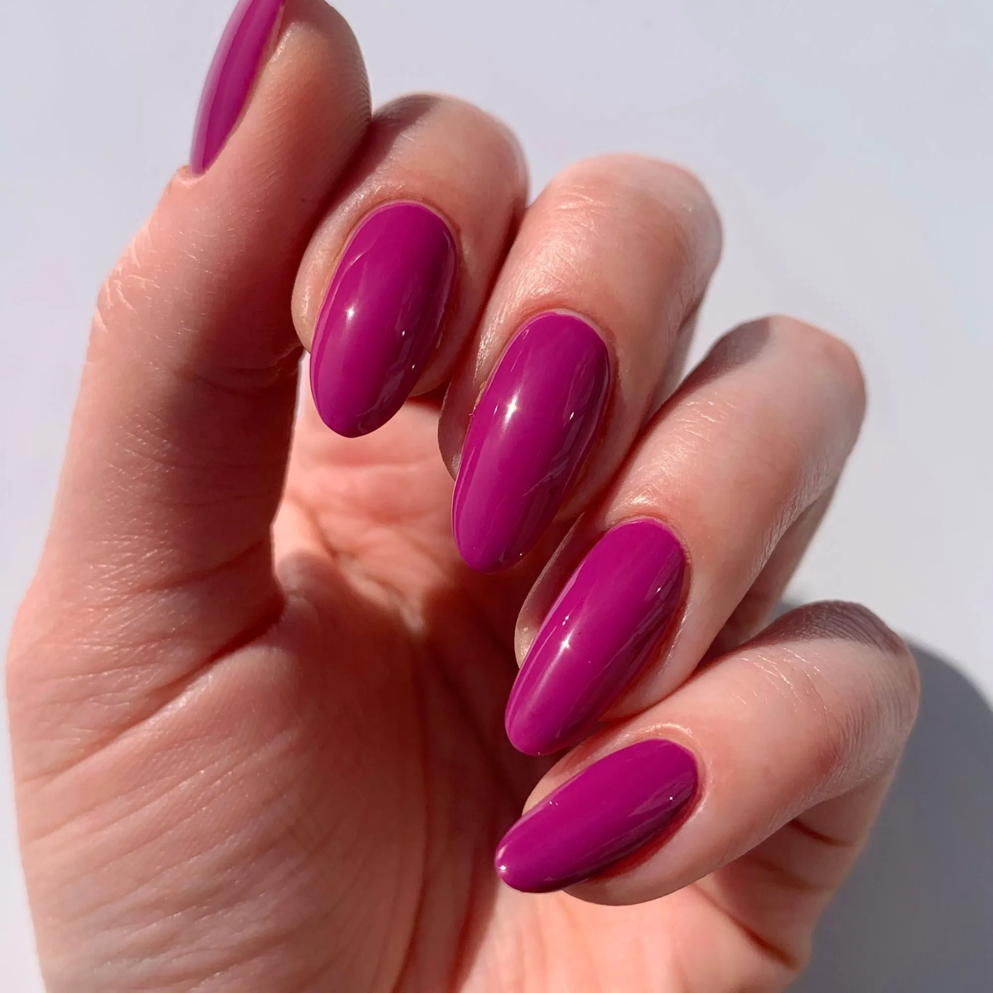 Violet Hibiscus (Professional)