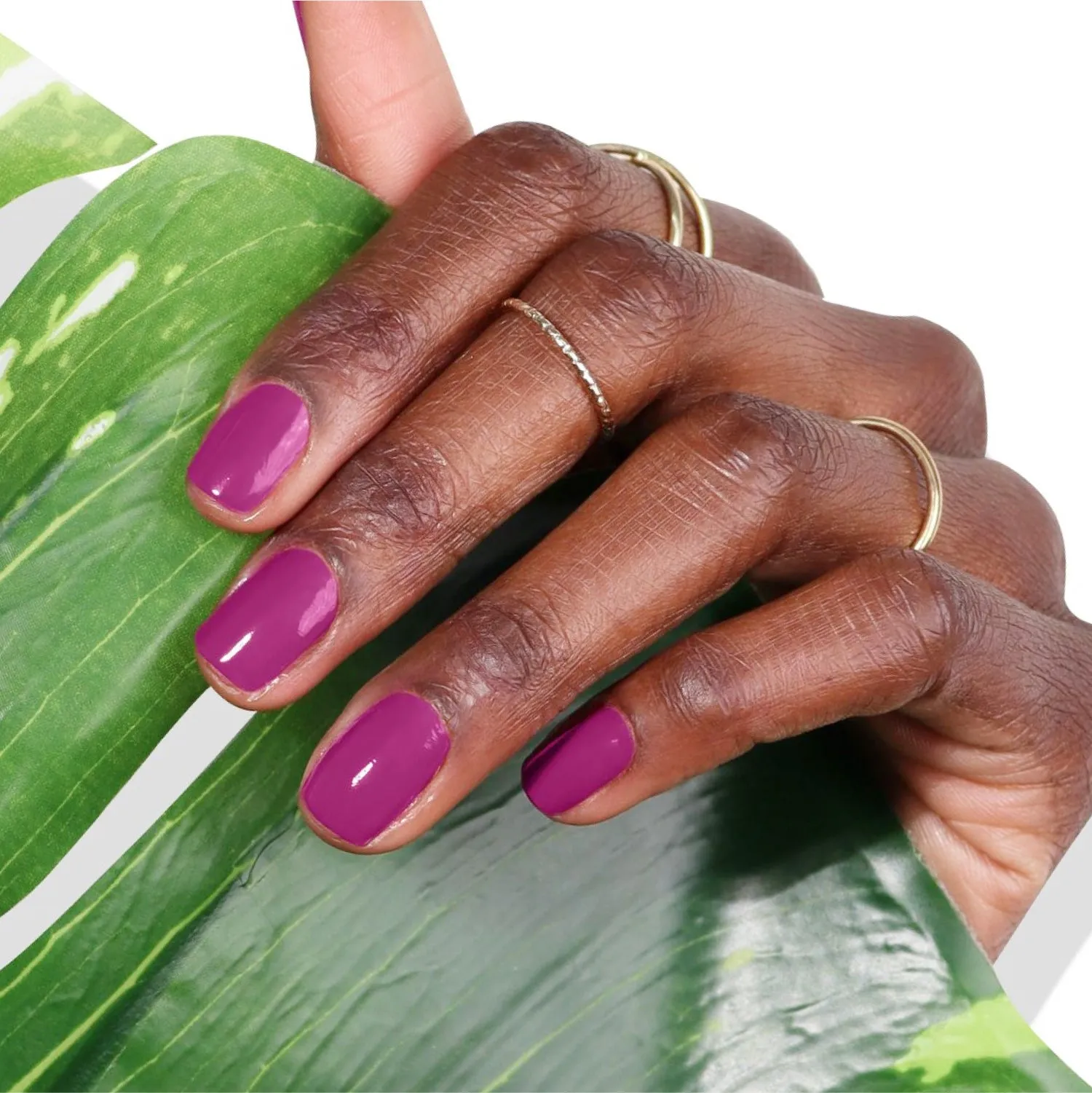 Violet Hibiscus (Professional)